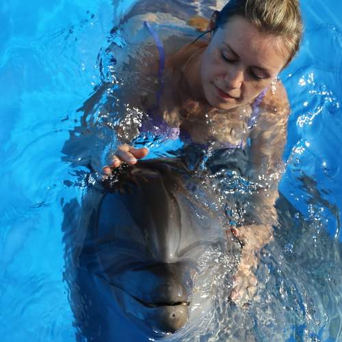 Photo #8252744