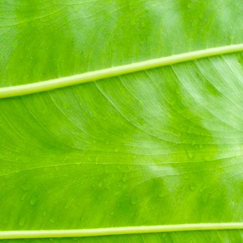 Photo #8253194