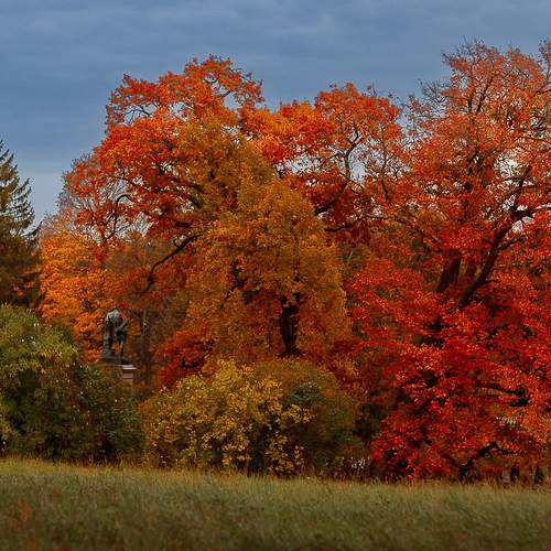 Photo #8253233