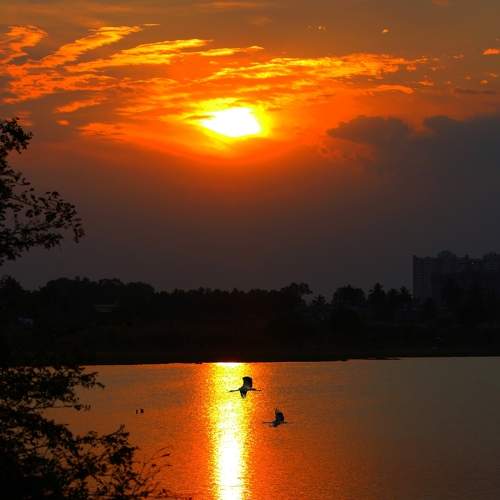 Photo #8253286