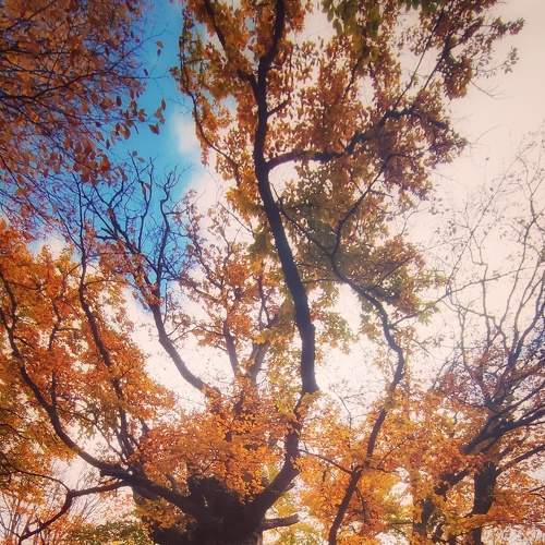 Photo #8253439