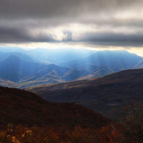 Photo #8253470