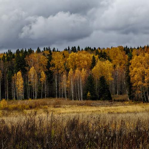 Photo #8253557