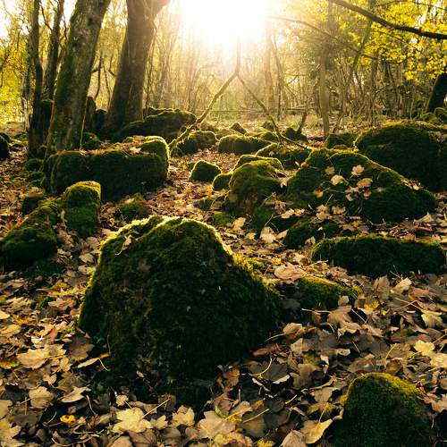 Photo #8253576