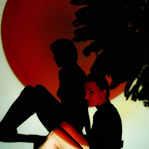 Photo #8253792