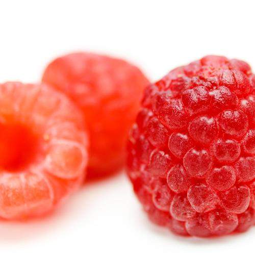 Photo #8254055