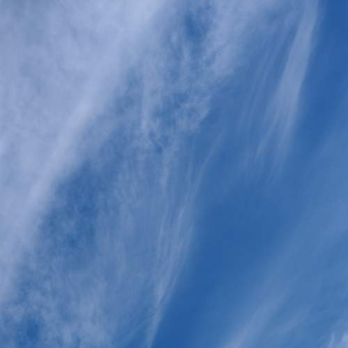 Photo #8254528