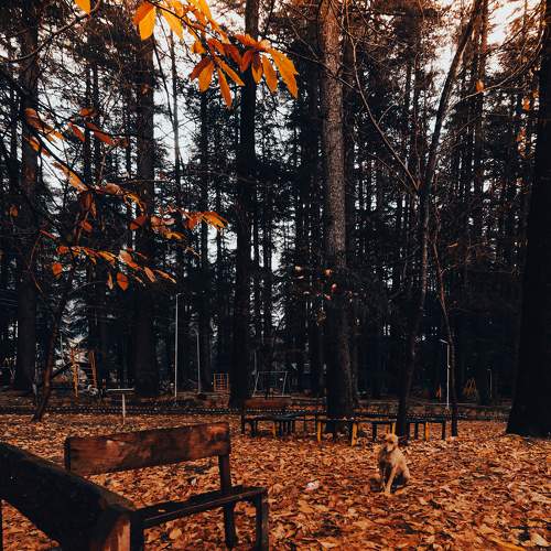 Photo #8254917