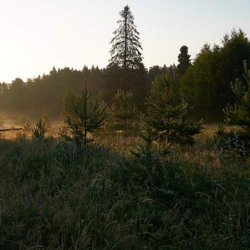 Photo #8255051