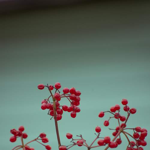 Photo #8255372