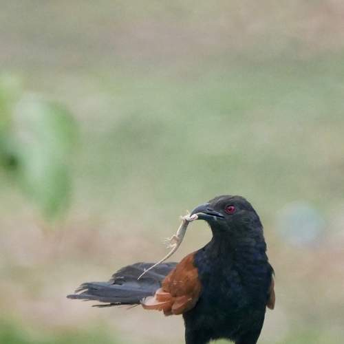 Photo #8255403