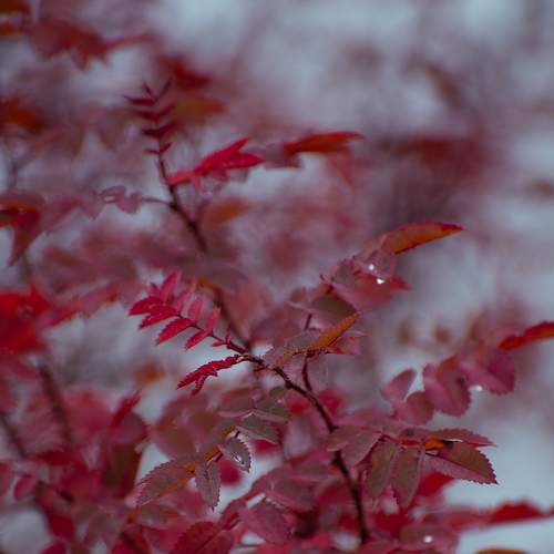 Photo #8255430