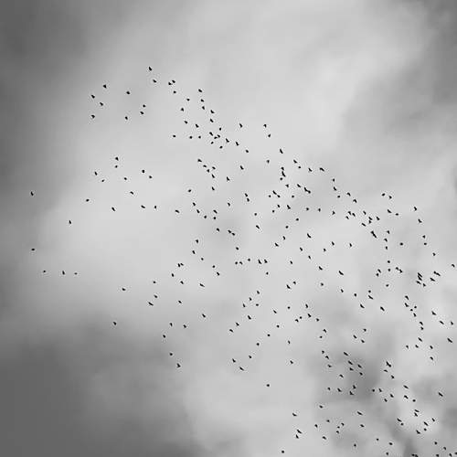 Photo #8255509