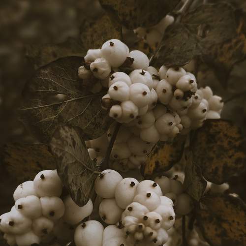 Photo #8255707