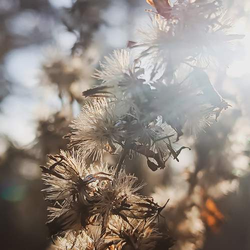 Photo #8255712