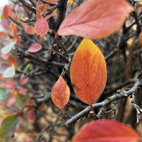 Photo #8255730
