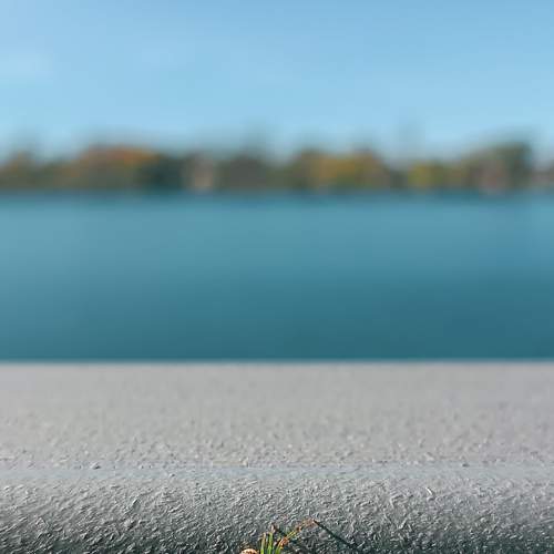 Photo #8255761