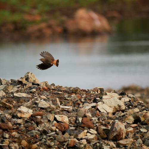 Photo #8255819