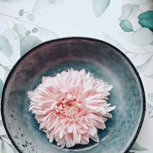 Photo #8256067