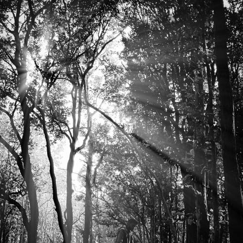 Photo #8256103