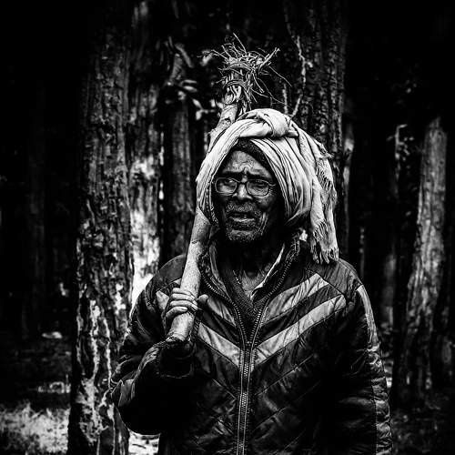 Photo #8256116