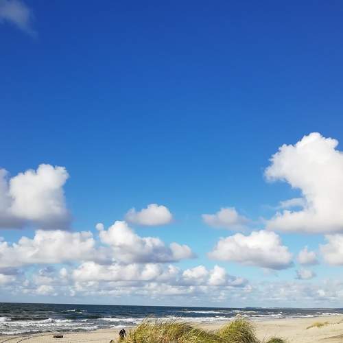 Photo #8256139