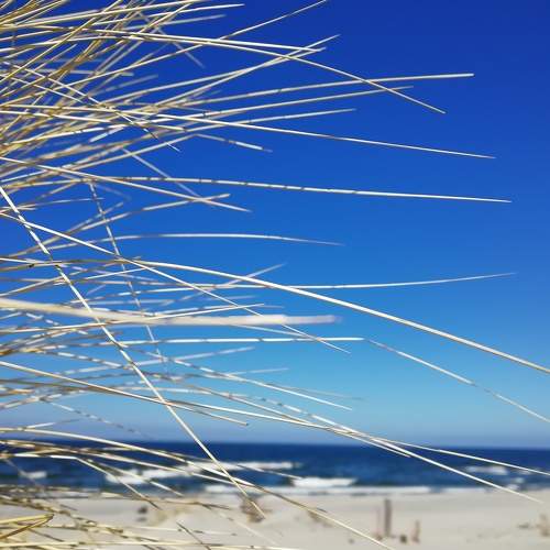 Photo #8256143
