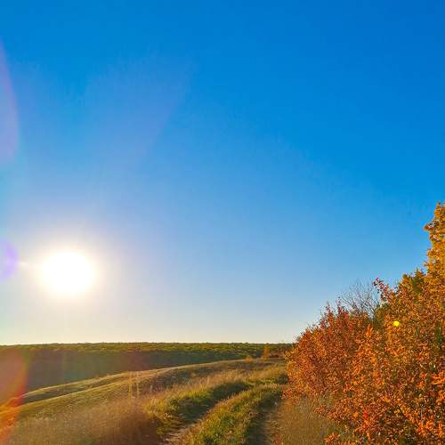 Photo #8256168