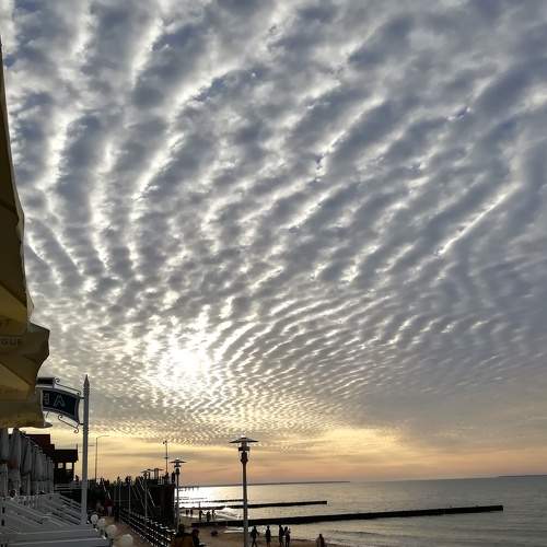 Photo #8256173