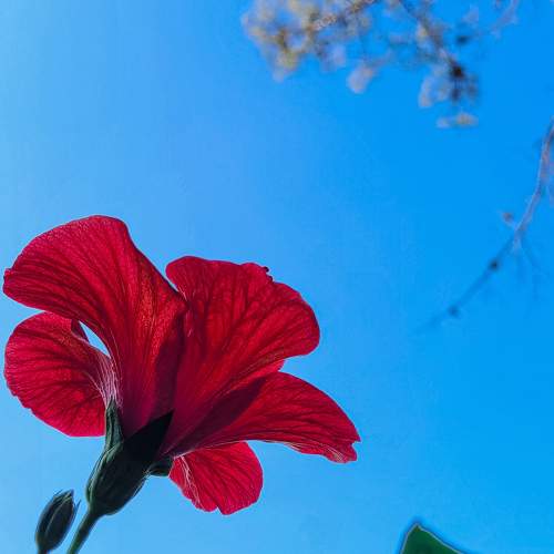 Photo #8256282