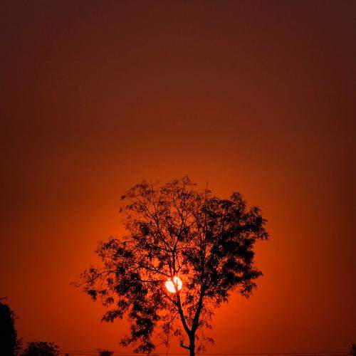 Photo #8256366