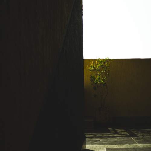 Photo #8256591