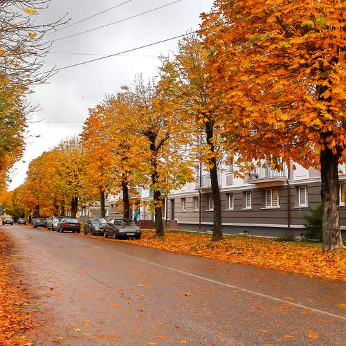 Photo #8256870