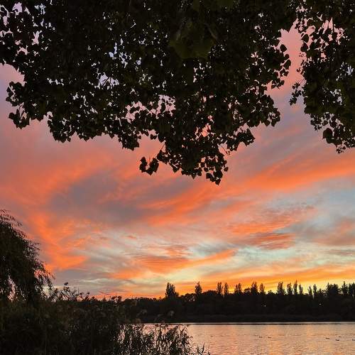 Photo #8257097
