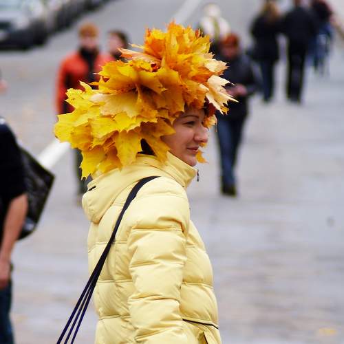 Photo #8257128