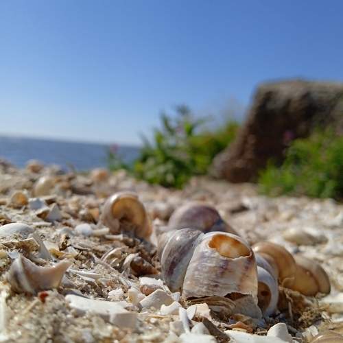 Photo #8257191