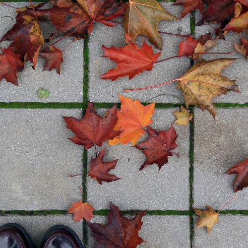 Photo #8257347