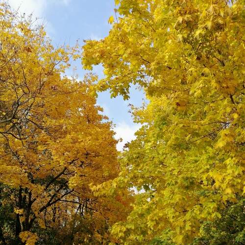 Photo #8257380