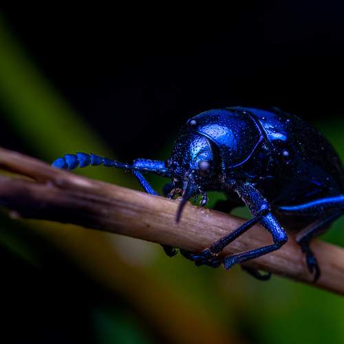 Photo #8257483