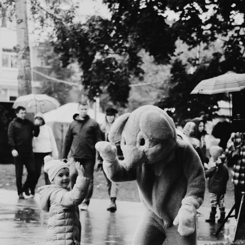 Photo #8257881