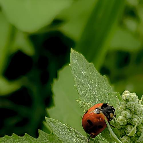 Photo #8258230
