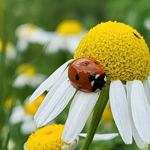 Photo #8258251
