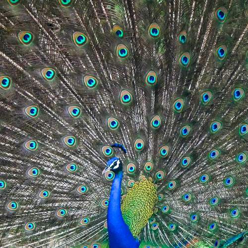 Photo #8258446