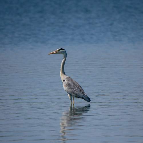 Photo #8258457