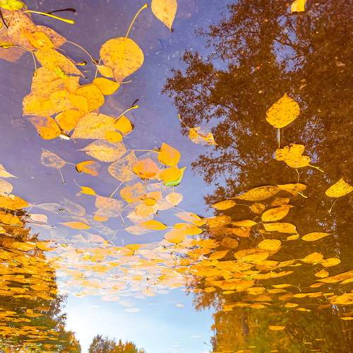Photo #8258498
