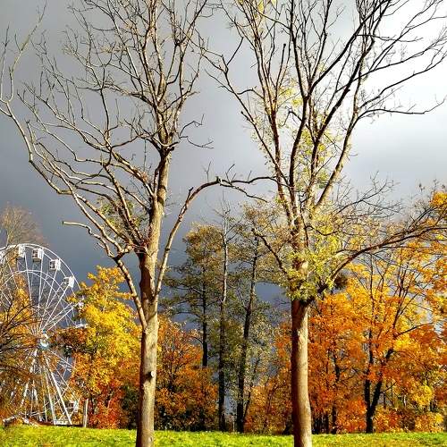Photo #8259049