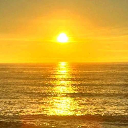 Photo #8259160