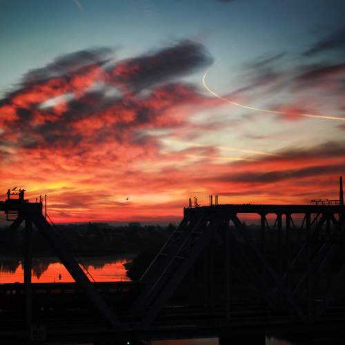 Photo #8259449