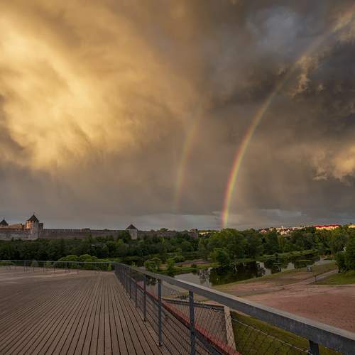 Photo #8259502