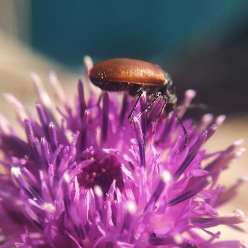 Photo #8259613